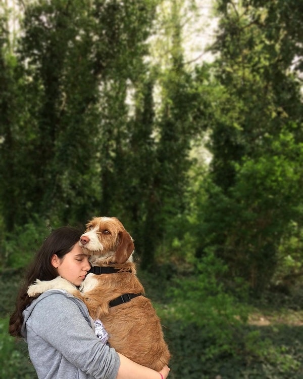 Istrian Coarse-Haired Hound with its master