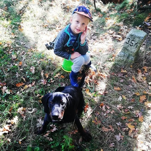 A baby and Polish Hunting Dog Sitting