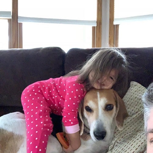 American Foxhound and a baby girl cuddling