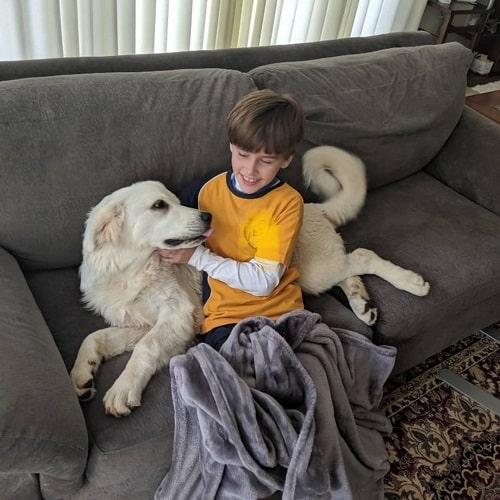 Polish Tatra Sheepdog and a boy cuddling