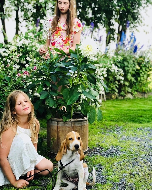 A girl Sitting with her Schweizer Laufhund