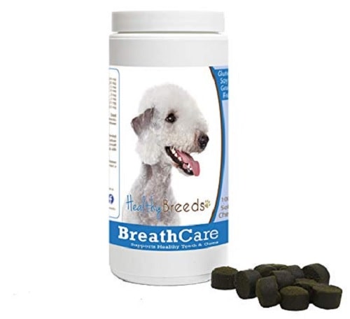 Bedlington Terrier supplements