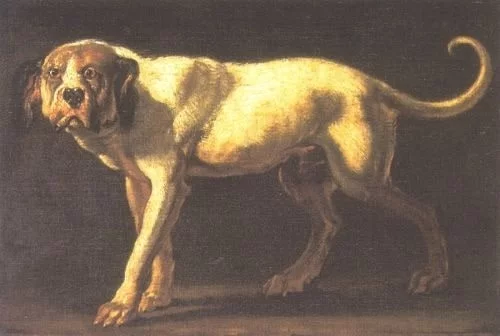 Painting of Dogo Cubano Dog