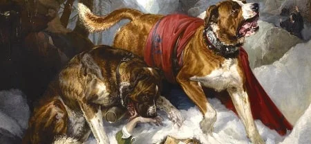 A painting of two Alpine Mastiffs.