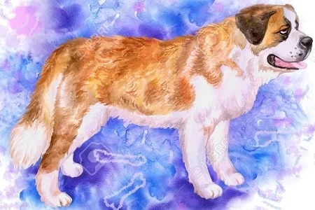 A sketch of the extinct Alpine Mastiff dog.