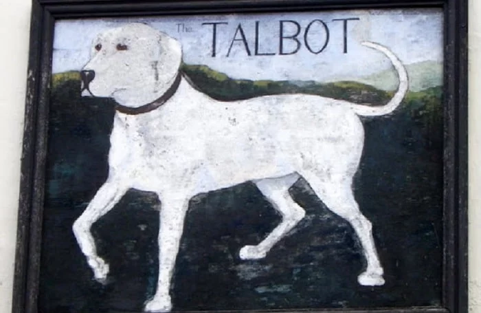 A picture of Talbot Hound in a frame.