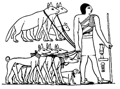 An ancient Egyptian taking several Tesem dogs on leash.