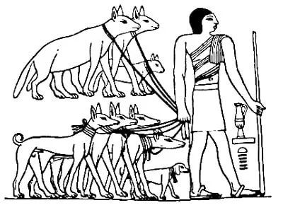 An ancient Egyptian taking several Tesem dogs on leash.