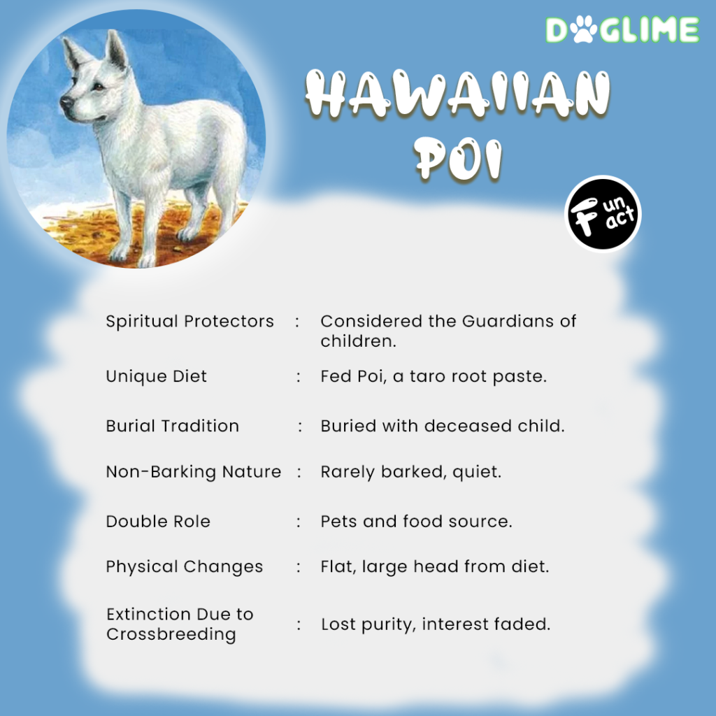 Seven facts of Hawaiian Poi