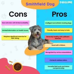 All About Smithfield Dog - Origin, Extinction, Behavior, Puppy and Facts