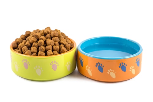 best dry dog food for catahoulas