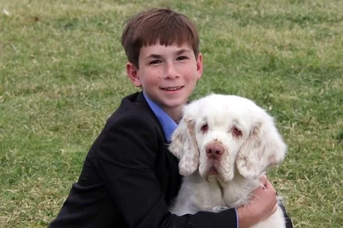 Clumber Spaniel posing for a photo with a boy
