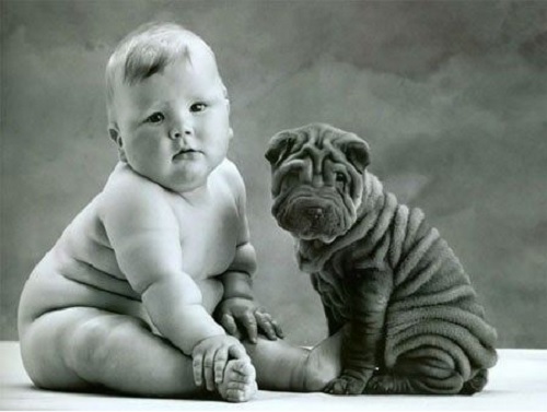 Sher-Pei puppy and baby posing for a photo