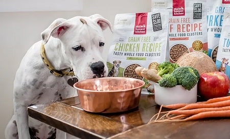 Best dog food for dogo argentino sale