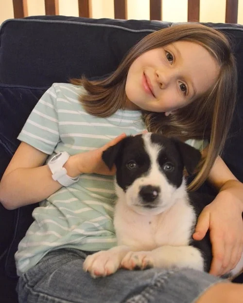 A girl posing with McNab Shepherd