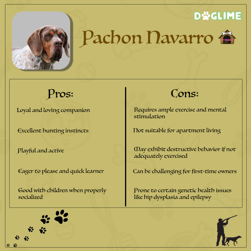 Pachón Navarro