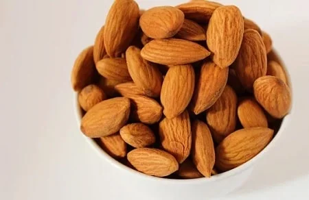 almond.jpg - What Nuts Are Safe for Dogs?