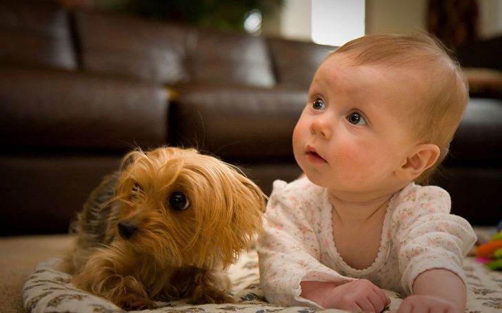 Bond Between Dogs and Children