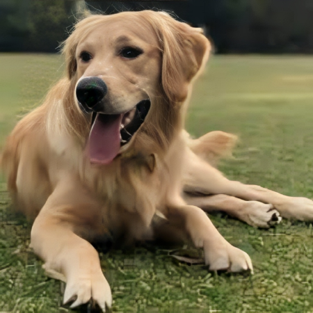 Chance the therapy dog brings joy and comfort, one wag at a time.