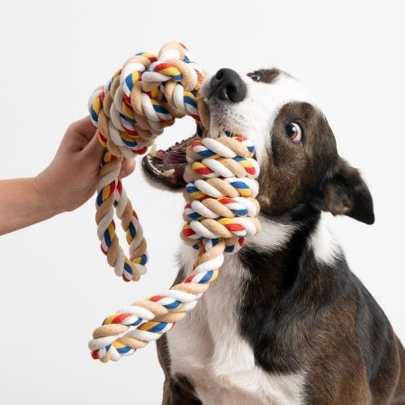 You'll need a pair of scissors and some cotton or fleece rope to assemble this toy. 