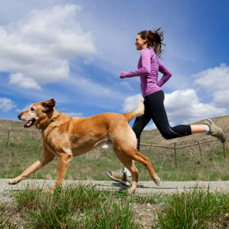 Dogs have a keen sense of intuition and can tell when their owners are getting angry. You can maintain your dog's motivation and enthusiasm for learning by being positive and supportive.