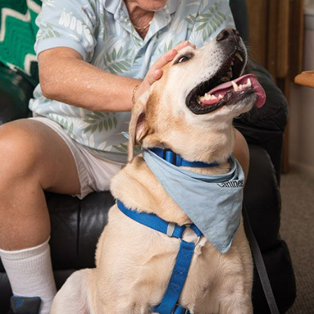 The role that therapy dogs play in a variety of therapeutic settings is expanding along with our awareness of their advantages.