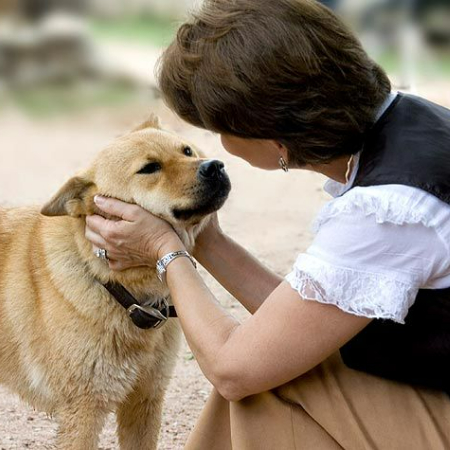 We now know far more about how dogs think, learn, and interact with people and other canines because of recent developments in the field of animal behavior science.