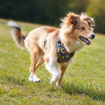 Therapy dogs in schools assist kids in managing stress, anxiety, and even academic challenges.