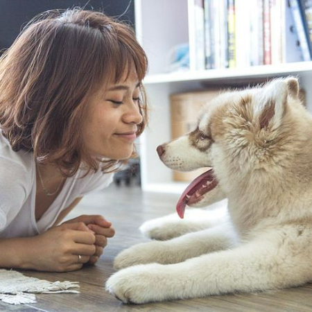 To keep you both healthy and happy, make sure you and your dog get lots of activity. Every day, try to get in at least 30 minutes of exercise.