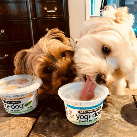 Dogs love Frozen Yogurt Drops because they offer a cool, creamy treat that's both refreshing and packed with a delicious taste they can't resist.