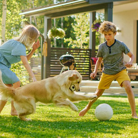 Make sure your backyard is safe before getting started on the enjoyable activities.