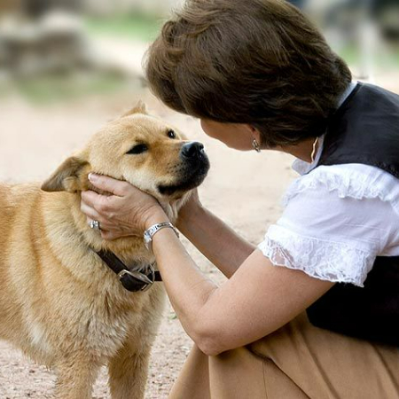 Dogs perceive the world in a different way than people.