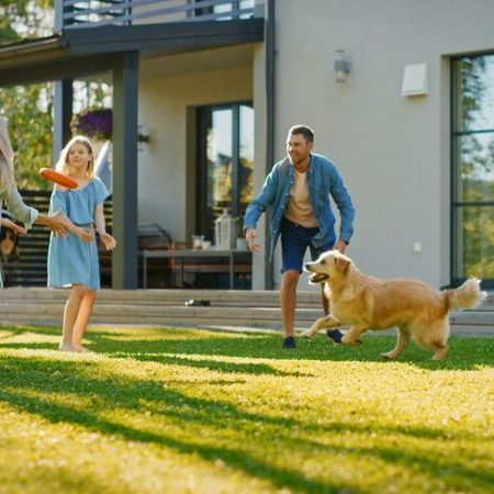 As the sun sets, don't let the good times finish! You may let your dog play outside safely at night by adding lighting to your backyard.