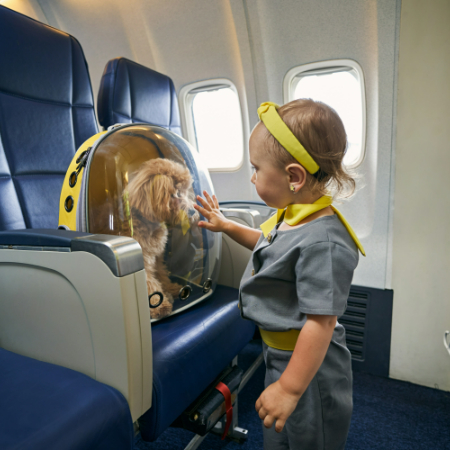 Your dog may be permitted to travel in the cabin with you or will need to transit through the cargo hold, depending on the size of the dog and the airline.