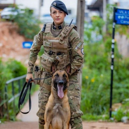 Dogs are frequently used to patrol military sites and other high-security areas for protection and sentry duties. 