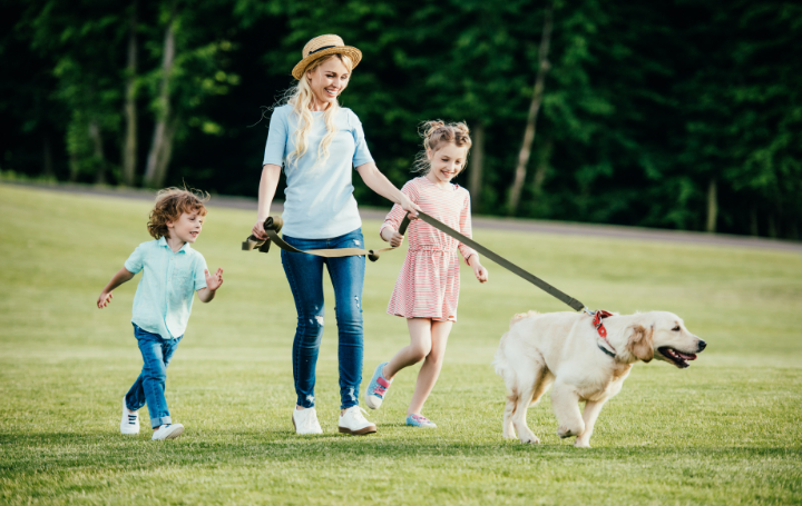 happy-young-mother-with-adorable-kids-and-dog-walk-2023-11-27-05-15-42-utc (1)