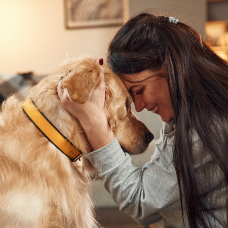 Dogs can detect spoken tones quite well. When you communicate with your dog, use a soothing, upbeat tone to help them connect you with warmth and security.