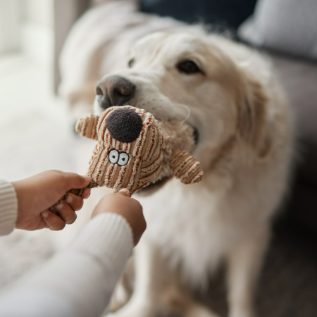 Dogs naturally enjoy chewing, and interactive chew toys make it even more enjoyable. 