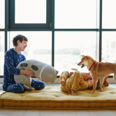 If at all possible, position their bed in an area that receives some natural light.