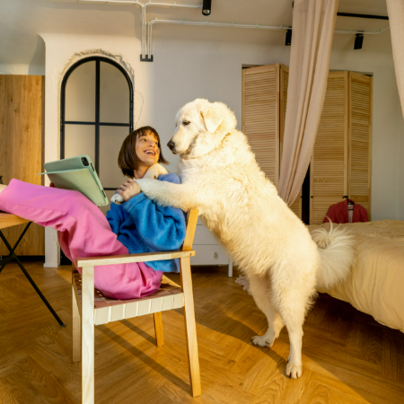 Once your dog has a comfortable and secure area, encourage them to use it frequently. 