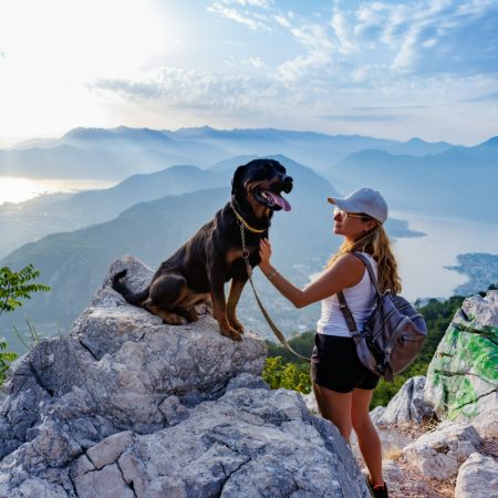 After your hike, give your dog a chance to rest and cool down.