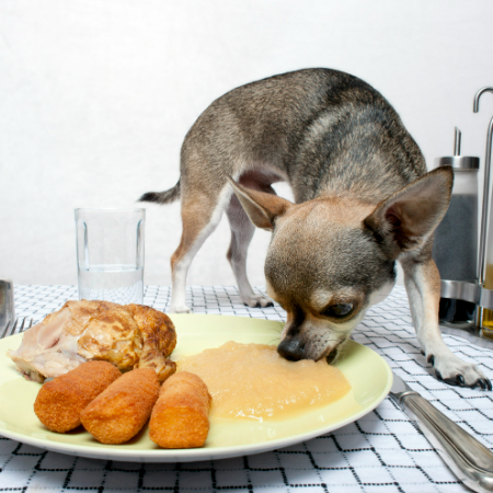 Choose a limited-ingredient diet with novel proteins (like duck or venison) and carbs (like sweet potato) that your dog hasn’t eaten before.