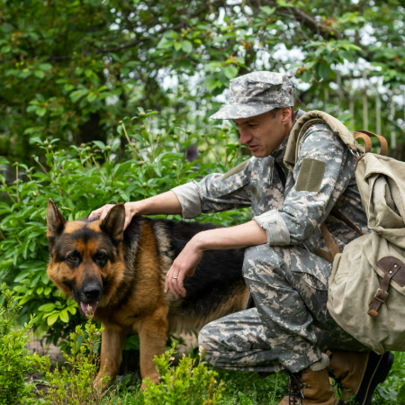 Military dogs aren’t just good boys and girls; they’re lifesavers. 