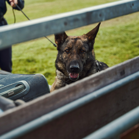 Many K-9 units rely on public donations for equipment, training, and medical care.