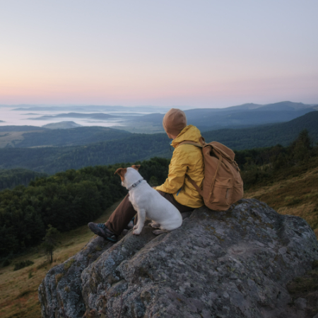Basic obedience is essential for a safe and enjoyable hike.
