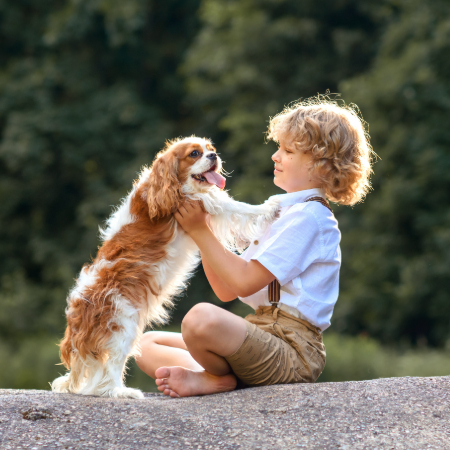 For older children and adults with ASD, having a dog can encourage independence.