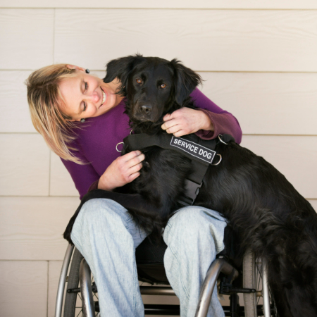 Consistency is crucial in service dog training.