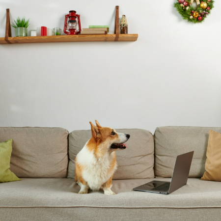 Whenever dogs feel anxious, they look for a safe and familiar place to retreat to.