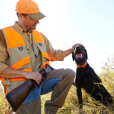 Some dogs pick up scent work quickly, while others need more time.