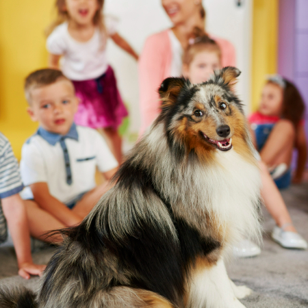 Doggie daycare is exactly what it sounds like: a supervised environment where dogs can spend the day playing, socializing, and burning off energy.